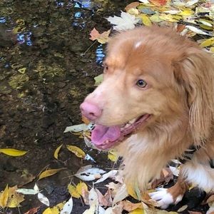 Meet your Posher, Monica